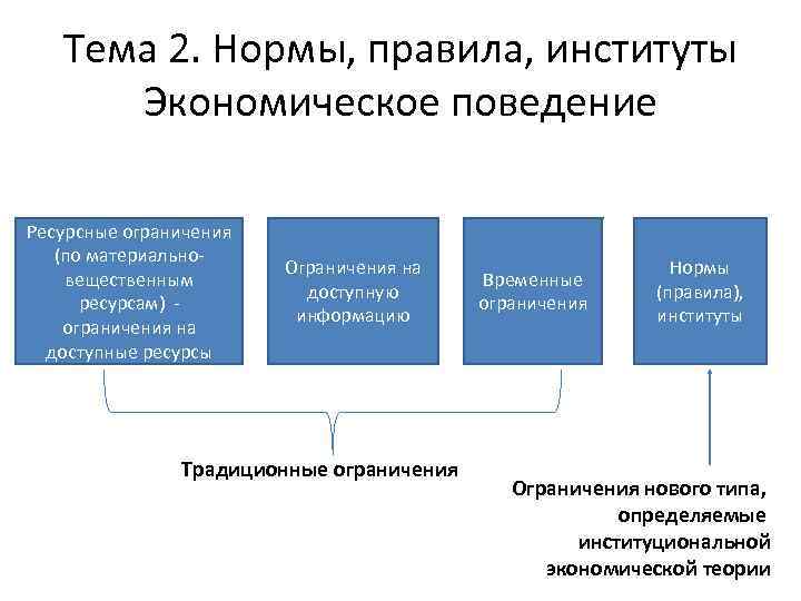 Тема 2. Нормы, правила, институты Экономическое поведение Ресурсные ограничения (по материально вещественным ресурсам) ограничения