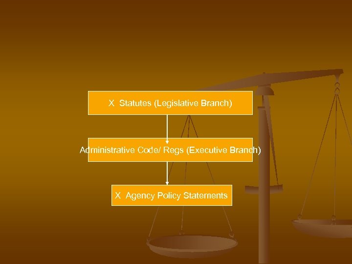 X Statutes (Legislative Branch) Administrative Code/ Regs (Executive Branch) X Agency Policy Statements 