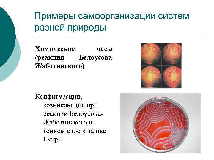 Самоорганизация в природе. Примеры самоорганизации систем. Самоорганизация химических систем. Самоорганизация в химии примеры. Примеры самоорганизации систем разной природы.