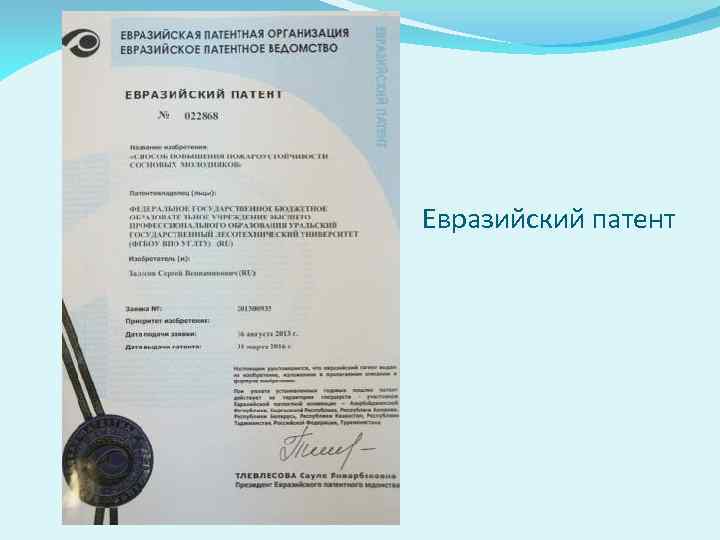 Евразийский патент 