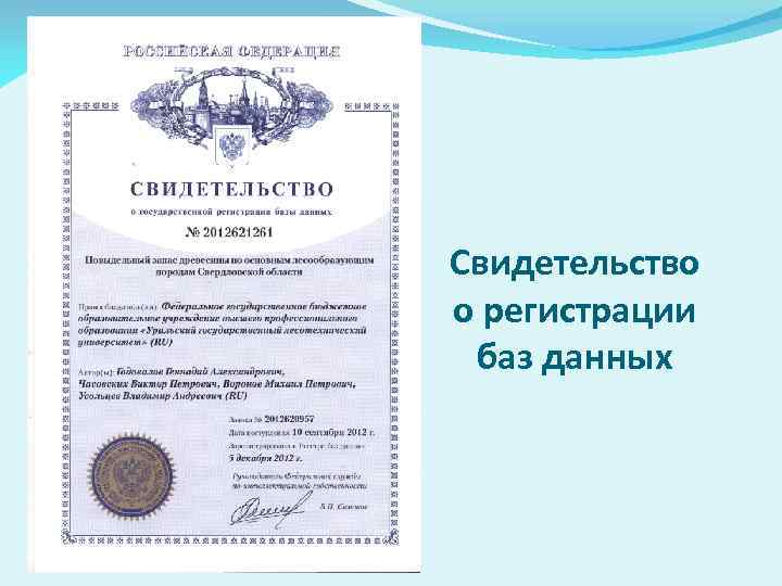 Свидетельство о регистрации баз данных 