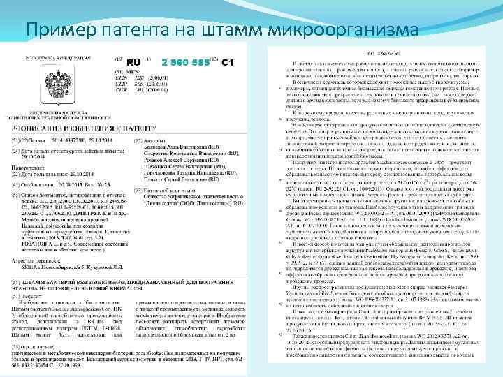 Пример патента на штамм микроорганизма 
