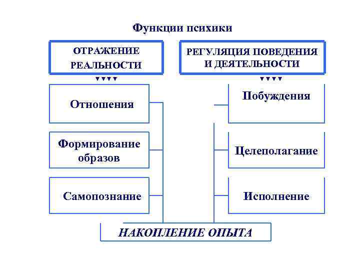 Психика является функцией