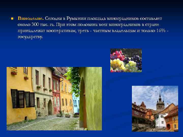 n Виноделие. Сегодня в Румынии площадь виноградников составляет около 300 тыс. га. При этом