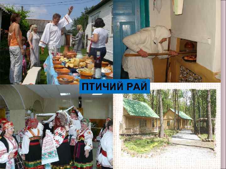 ПТИЧИЙ РАЙ 15 