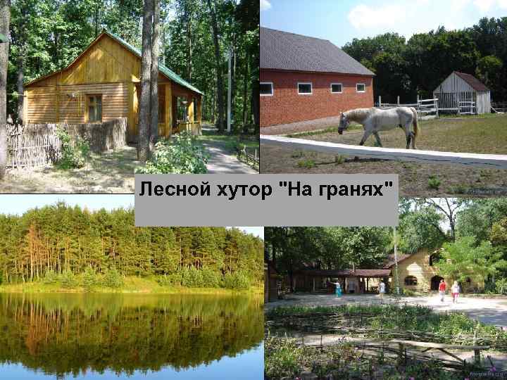 Лесной хутор "На гранях" 