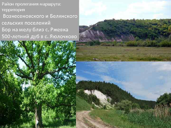 Район пролегания маршрута: территория Вознесеновского и Белянского сельских поселений Бор на мелу близ с.