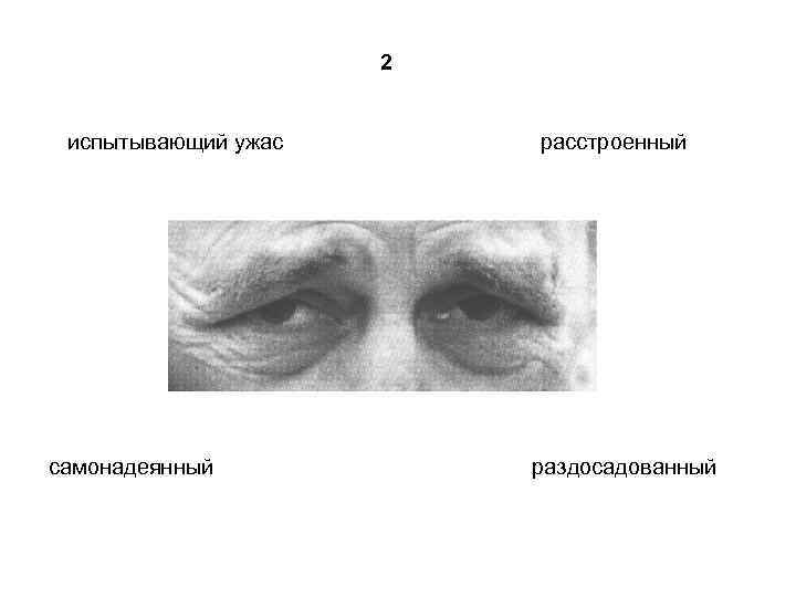 2 испытывающий ужас самонадеянный расстроенный раздосадованный 