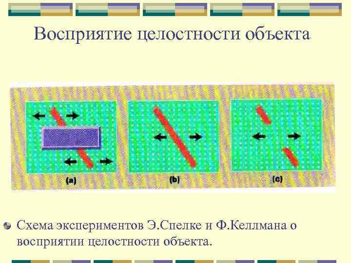 Восприятие целостности объекта Схема экспериментов Э. Спелке и Ф. Келлмана о восприятии целостности объекта.