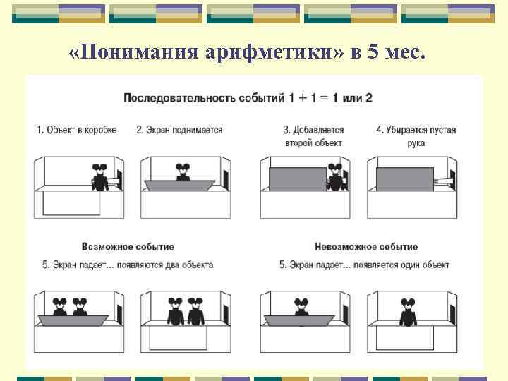  «Понимания арифметики» в 5 мес. 