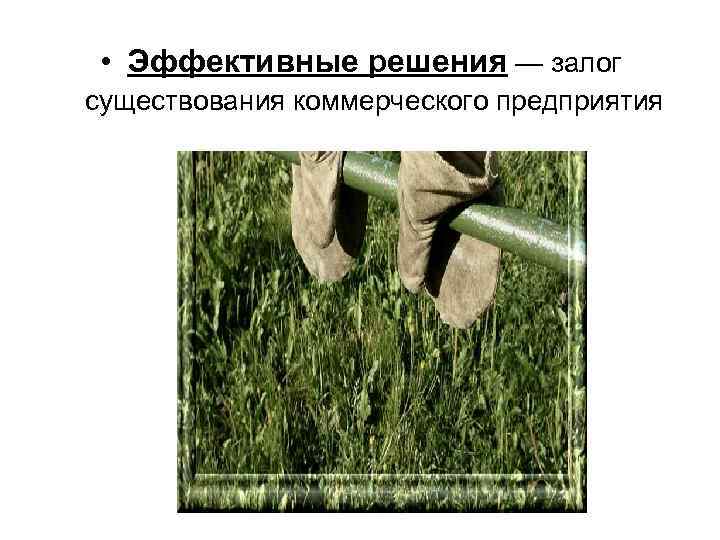  • Эффективные решения — залог существования коммерческого предприятия 
