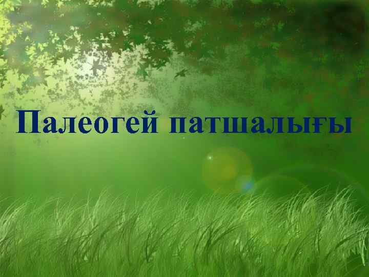 Палеогей патшалығы 