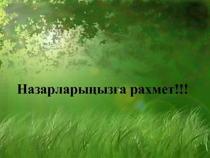 Назарларыңызға рахмет!!! 