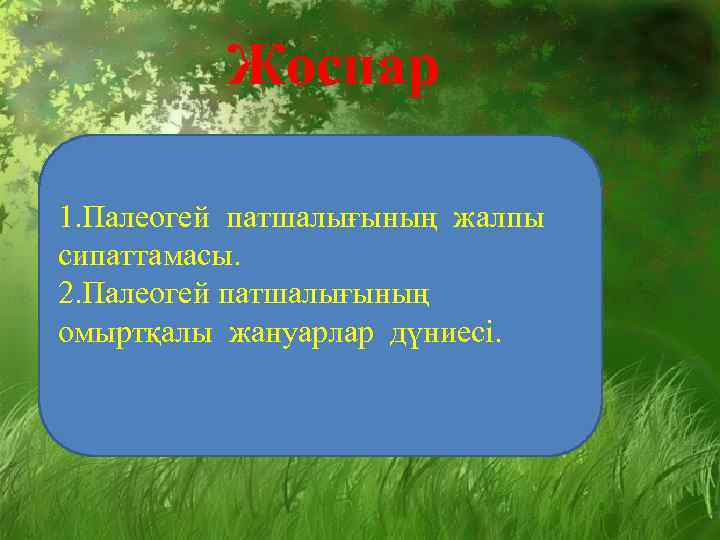 Жоспар 1. Палеогей патшалығының жалпы сипаттамасы. 2. Палеогей патшалығының омыртқалы жануарлар дүниесі. 