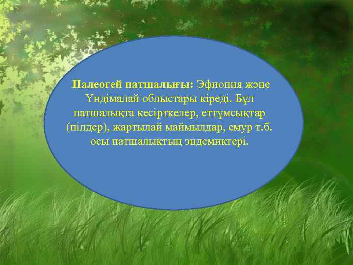 Палеогей патшалығы: Эфиопия және Үндімалай облыстары кіреді. Бұл патшалықта кесірткелер, еттұмсықтар (пілдер), жартылай маймылдар,