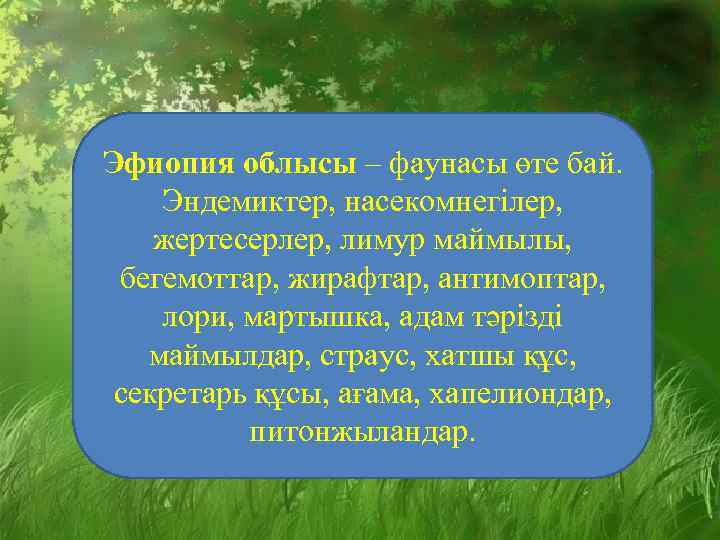 Эфиопия облысы – фаунасы өте бай. Эндемиктер, насекомнегілер, жертесерлер, лимур маймылы, бегемоттар, жирафтар, антимоптар,