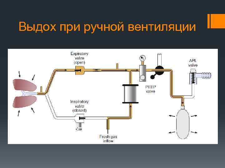 Выдох при ручной вентиляции 