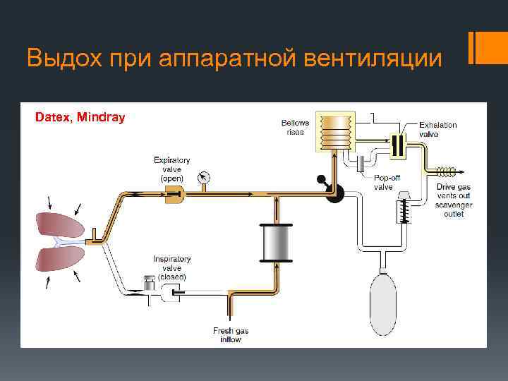 Выдох при аппаратной вентиляции Datex, Mindray 