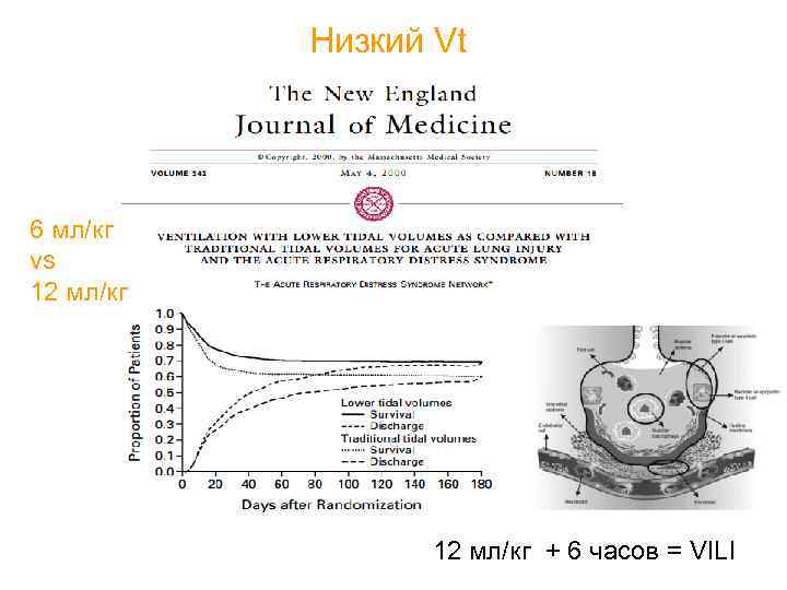 Низкий Vt 6 мл/кг vs 12 мл/кг + 6 часов = VILI 