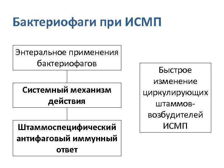 Бактериофаги при ИСМП Энтеральное применения бактериофагов Системный механизм действия Штаммоспецифический антифаговый иммунный ответ Быстрое