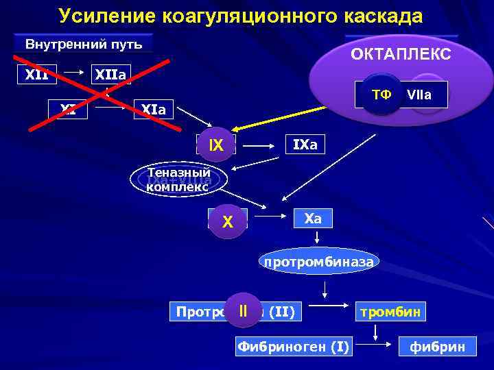Усиление коагуляционного каскада Внутренний путь XII Внешний путь ОКТАПЛЕКС XIIa XI II, ТФ +