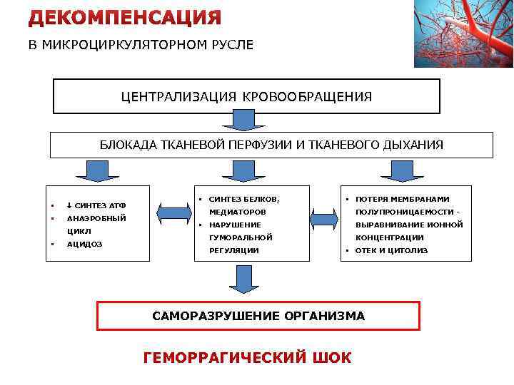 ДЕКОМПЕНСАЦИЯ В МИКРОЦИРКУЛЯТОРНОМ РУСЛЕ ЦЕНТРАЛИЗАЦИЯ КРОВООБРАЩЕНИЯ БЛОКАДА ТКАНЕВОЙ ПЕРФУЗИИ И ТКАНЕВОГО ДЫХАНИЯ • СИНТЕЗ