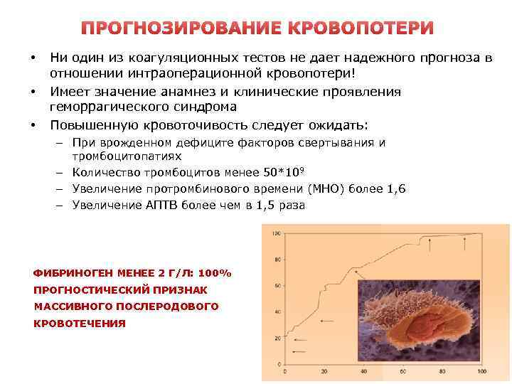 ПРОГНОЗИРОВАНИЕ КРОВОПОТЕРИ • • • Ни один из коагуляционных тестов не дает надежного прогноза