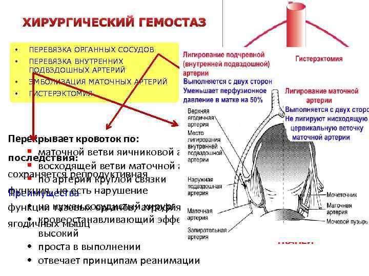 Геморрой карта вызова