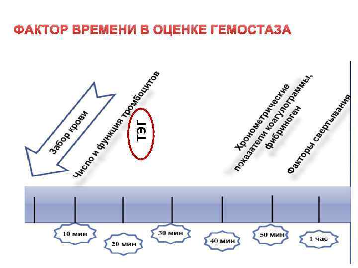 ТТЭГ ФАКТОР ВРЕМЕНИ В ОЦЕНКЕ ГЕМОСТАЗА 
