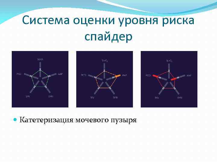 Система оценки уровня риска спайдер Катетеризация мочевого пузыря 