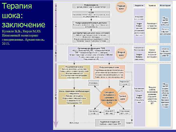 Терапия шока: заключение Кузьков В. В. , Киров М. Ю. Инвазивный мониторинг гемодинамики. Архангельск,