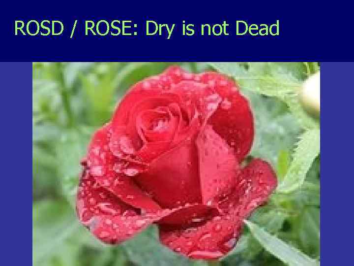 ROSD / ROSE: Dry is not Dead 