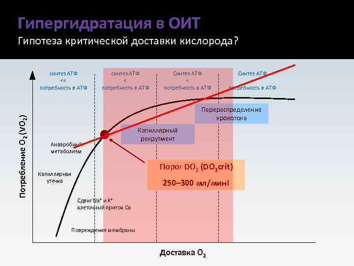 Гипергидратация в ОИТ Гипотеза критической доставки кислорода? Потребление O 2 (VO 2) синтез АТФ