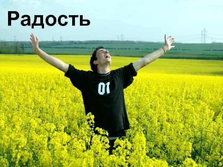 Радость 