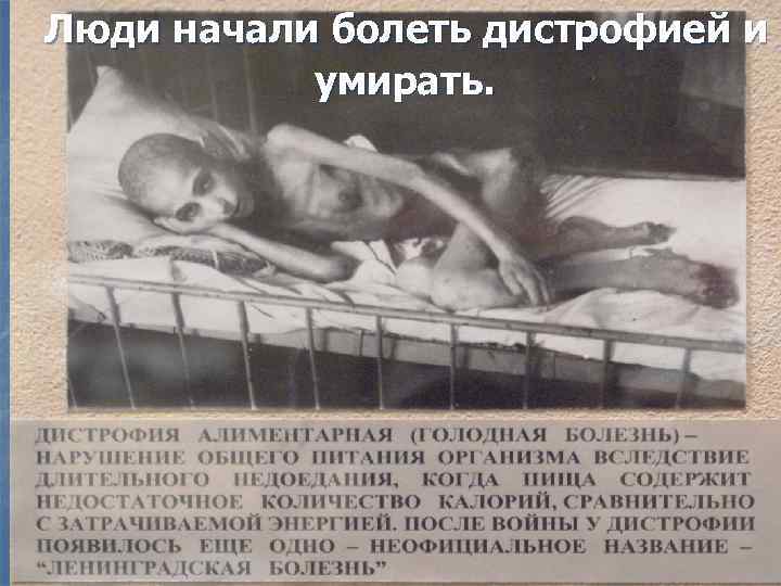 Люди начали болеть дистрофией и умирать. 