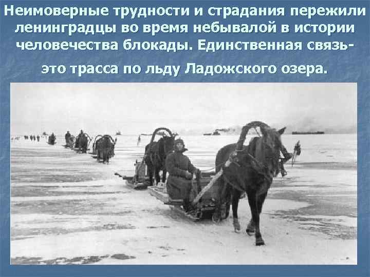 Неимоверные трудности и страдания пережили ленинградцы во время небывалой в истории человечества блокады. Единственная