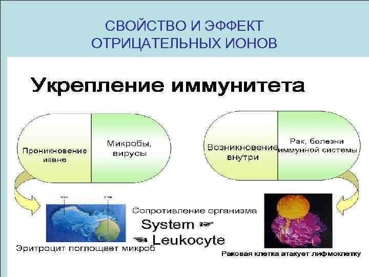 СВОЙСТВО И ЭФФЕКТ ОТРИЦАТЕЛЬНЫХ ИОНОВ 