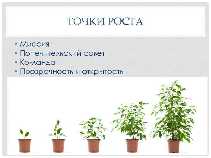 ТОЧКИ РОСТА • • Миссия Попечительский совет Команда Прозрачность и открытость 