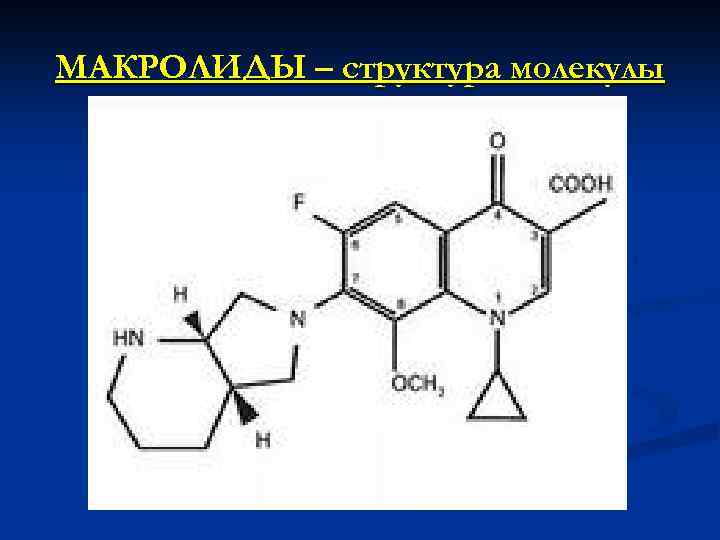 МАКРОЛИДЫ – структура молекулы 
