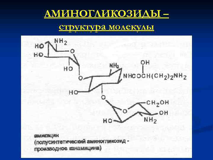 АМИНОГЛИКОЗИДЫ – структура молекулы 