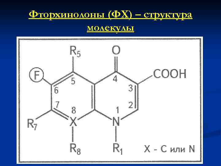 Фторхинолоны (ФХ) – структура молекулы 