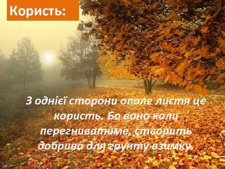 Користь: З однієї сторони опале листя це користь. Бо воно коли перегниватиме, створить добрива