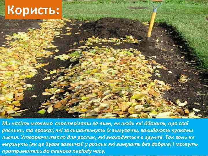 Користь: Ми навіть можемо спостерігати за тим, як люди які дбають, про свої рослини,