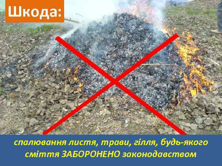 Шкода: спалювання листя, трави, гілля, будь-якого сміття ЗАБОРОНЕНО законодавством 