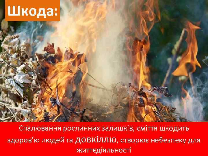 Шкода: Спалювання рослинних залишків, сміття шкодить здоров’ю людей та довкіллю, створює небезпеку для життєдіяльності