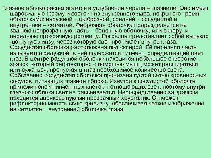 Глазное яблоко располагается в углублении черепа – глазнице. Оно имеет шаровидную форму и состоит