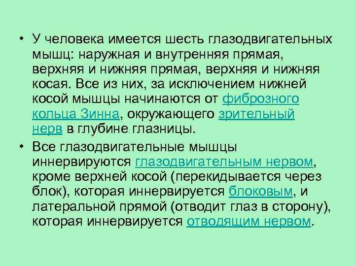  • У человека имеется шесть глазодвигательных мышц: наружная и внутренняя прямая, верхняя и