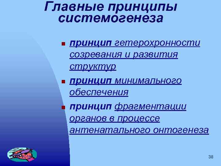 Минимальное обеспечение. Принципы системогенеза. Системогенез принципы системогенеза. Принцип минимального обеспечения организма. Принцип гетерохронности развития.