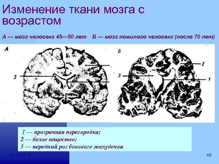 Изменения в тканях