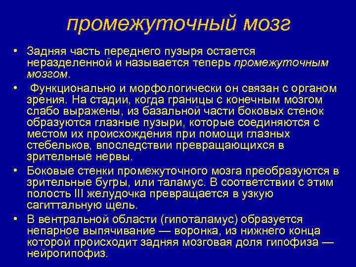 промежуточный мозг • Задняя часть переднего пузыря остается неразделенной и называется теперь промежуточным мозгом.